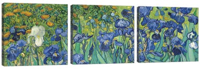 Irises, 1889 Canvas Art Print - Panoramic & Horizontal Wall Art
