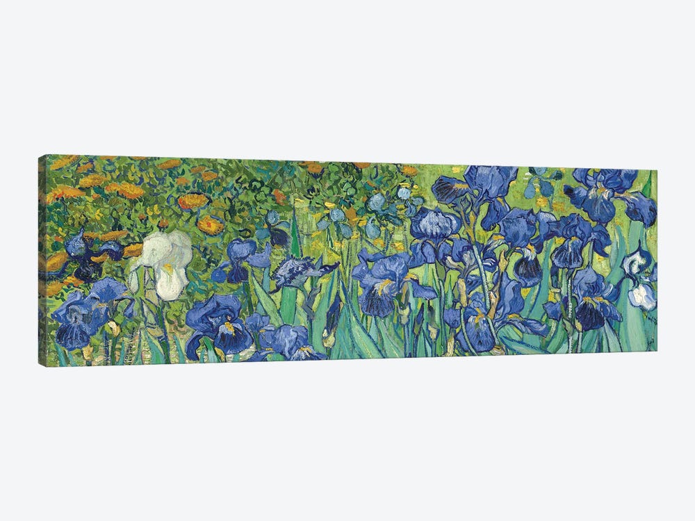 Irises, 1889 by Vincent van Gogh 1-piece Canvas Art Print
