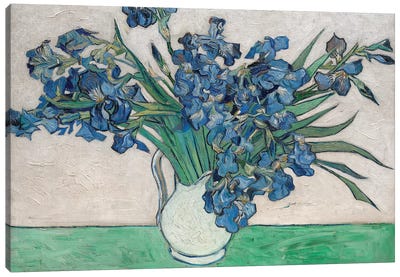 Irises, 1890 Canvas Art Print - Best Selling Floral Art