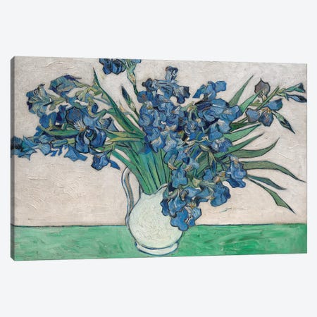 Irises, 1890 Canvas Print #BMN7215} by Vincent van Gogh Canvas Artwork