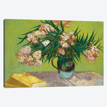 Oleanders, 1888 Canvas Print #BMN7218} by Vincent van Gogh Canvas Art Print