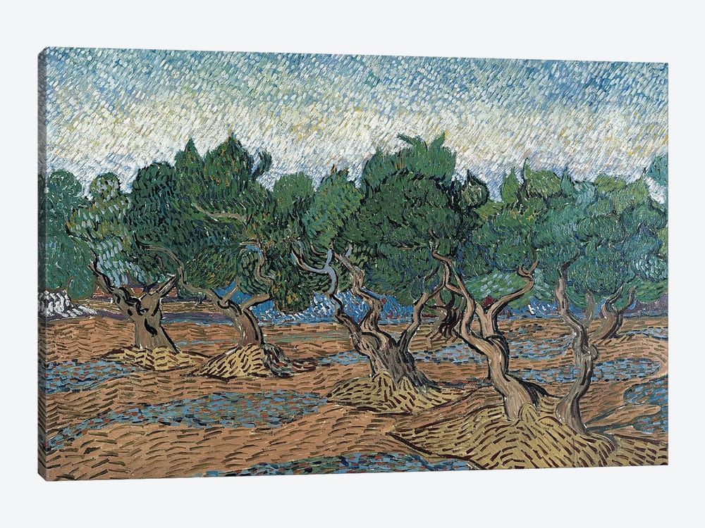 Olive Grove, 1889 by Vincent van Gogh 1-piece Canvas Art