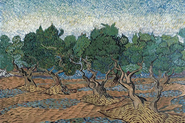 Olive Trees: Olive Grove, 1889 by Vincent van Gogh