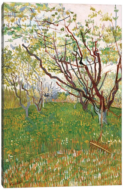 The Flowering Orchard, 1888 Canvas Art Print - Apple Trees