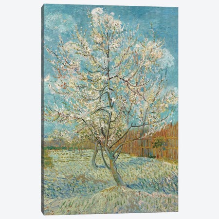 The Pink Peach Tree, 1888 Canvas Print #BMN7228} by Vincent van Gogh Canvas Artwork