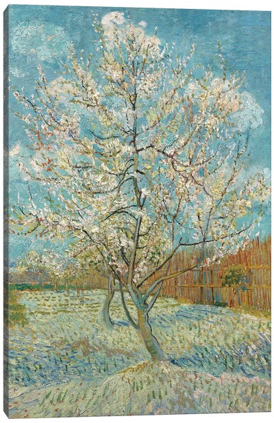 The Pink Peach Tree, 1888 Canvas Art Print - All Things Van Gogh