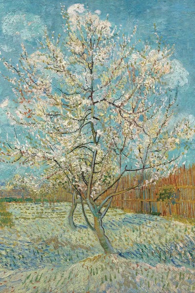 All Things Van Gogh: The Pink Peach Tree, 1888 by Vincent van Gogh