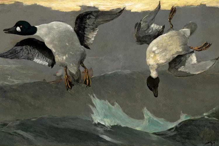 Right & Left, 1909 by Winslow Homer wall art