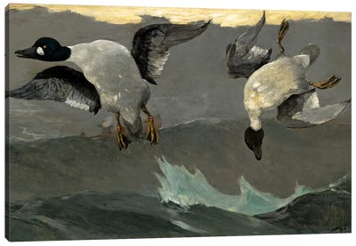Right & Left, 1909 Canvas Art Print - Winslow Homer