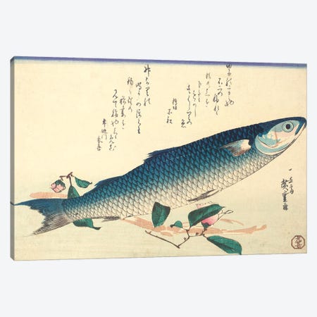 Grey Mullet, Camellia And Udo (Private Collection) Canvas Print #BMN7259} by Utagawa Hiroshige Canvas Print