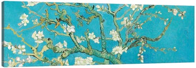 Almond Blossom Canvas Art Print - Post-Impressionism Art