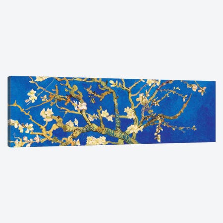 Almond Blossom On Royal Blue Canvas Print #BMN7289} by Vincent van Gogh Canvas Artwork