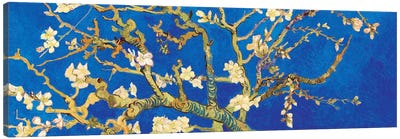 Almond Blossom On Royal Blue Canvas Art Print - Asian Décor
