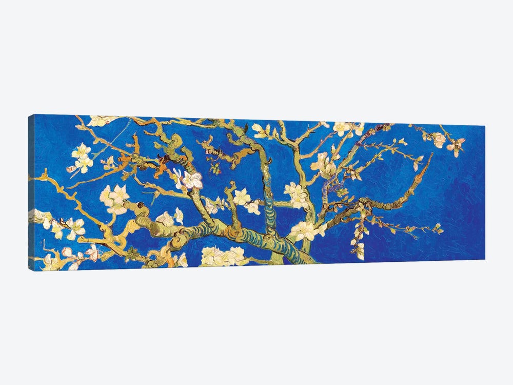 Almond Blossom On Royal Blue by Vincent van Gogh 1-piece Canvas Print