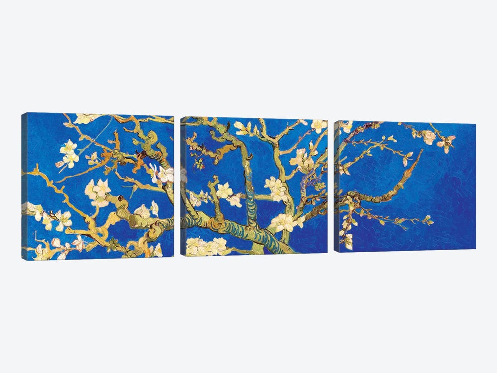 Almond Blossom On Royal Blue by Vincent van Gogh 3-piece Art Print