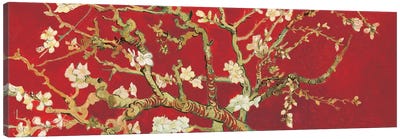 Almond Blossom On Red Canvas Art Print - Tree Art
