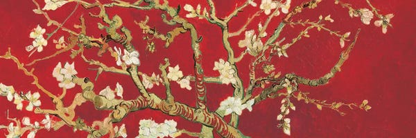 Asian Décor