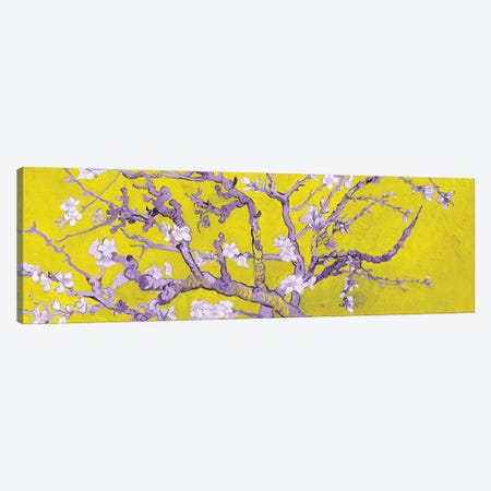 Almond Blossom On Yellow Canvas Print #BMN7296} by Vincent van Gogh Canvas Wall Art