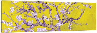 Almond Blossom On Yellow Canvas Art Print - Asian Décor