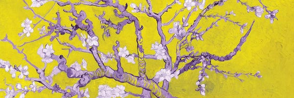 Post-Impressionism: Almond Blossom On Yellow by Vincent van Gogh
