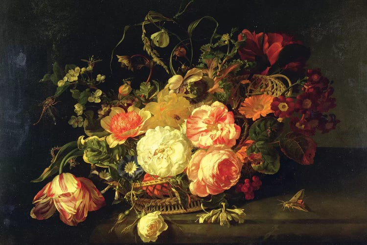 Flowers And Insects, 1711