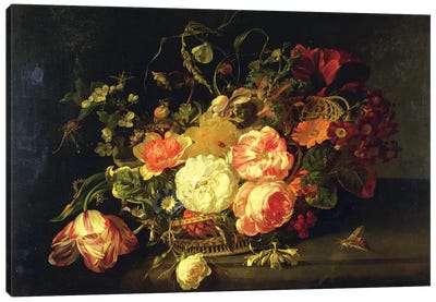 Flowers And Insects, 1711 Canvas Art Print - Caterpillars