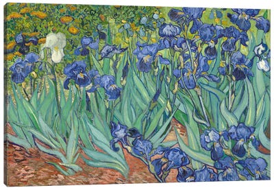 Irises, 1889  Canvas Art Print - Best Selling Classic Art