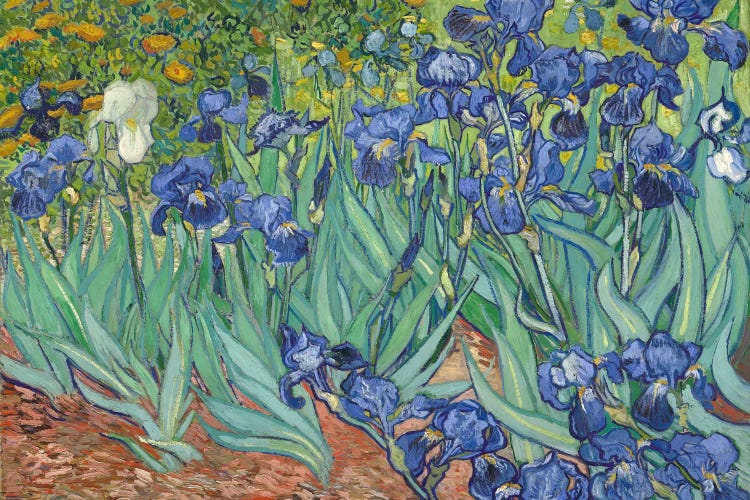 Irises, 1889 