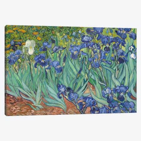Irises, 1889  Canvas Print #BMN744} by Vincent van Gogh Canvas Art