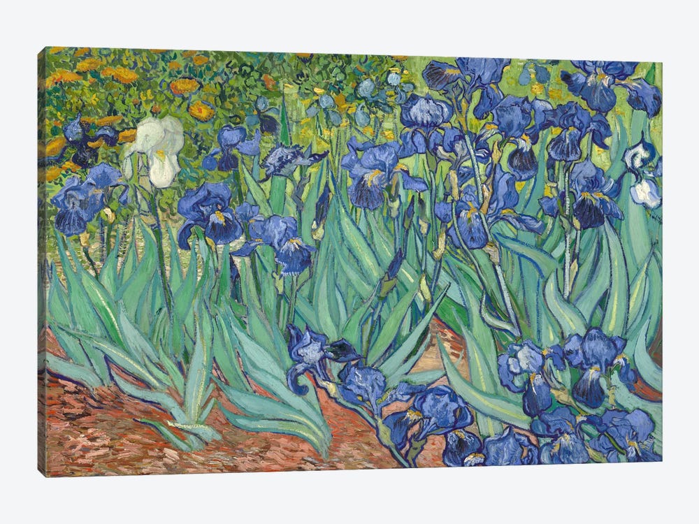 Irises, 1889  by Vincent van Gogh 1-piece Canvas Wall Art