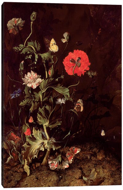 Forest Floor Still Life With Flowers And Butterflies Canvas Art Print