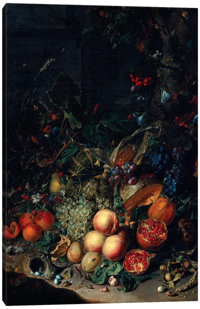 Peaches, Grapes, Pomegranates, Melons, A Corncob, Apricots, Plums, Pears And Acorns, 1718 Canvas Art Print