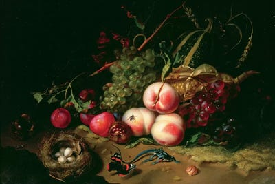 Rachel Ruysch