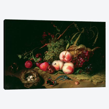 Still Life With Fruit Canvas Print #BMN7454} by Rachel Ruysch Canvas Wall Art