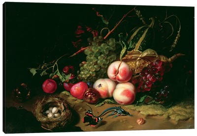 Still Life With Fruit Canvas Art Print - Rachel Ruysch
