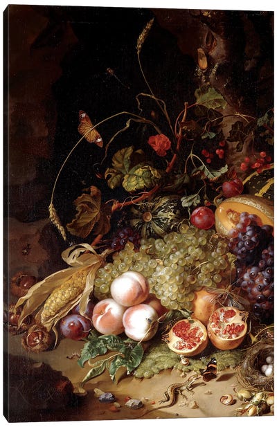 Still-Life With Fruit And Insects Canvas Art Print