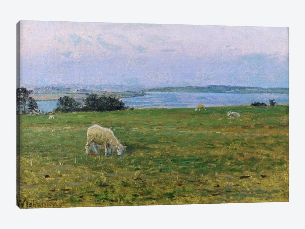Sheep Grazing, Osterby, Skagen  by Viggo Johansen 1-piece Canvas Art Print