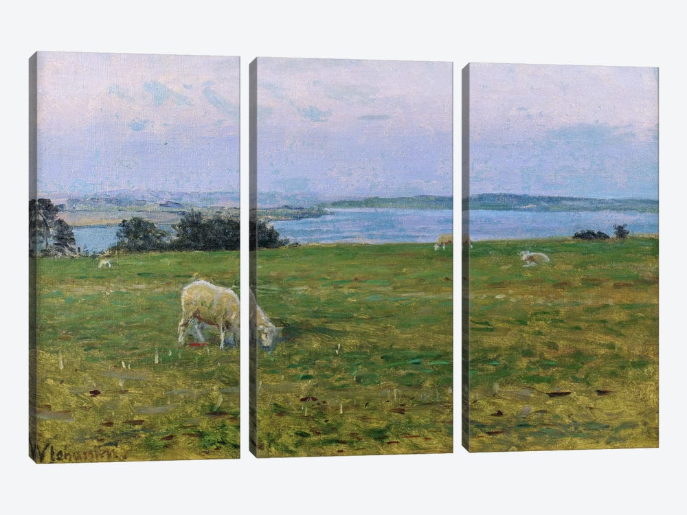 Sheep Grazing, Osterby, Skagen  by Viggo Johansen 3-piece Canvas Print