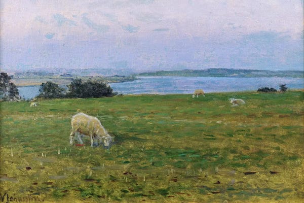 Sheep: Sheep Grazing, Osterby, Skagen  by Viggo Johansen