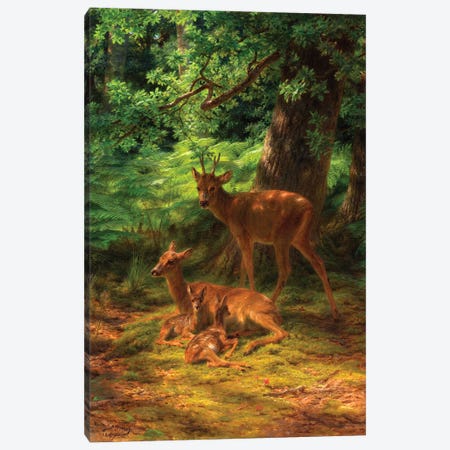 Deer In Repose, 1867 Canvas Print #BMN7542} by Rosa Bonheur Canvas Print