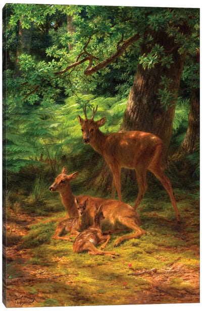 Deer In Repose, 1867 Canvas Art Print - Rosa Bonheur