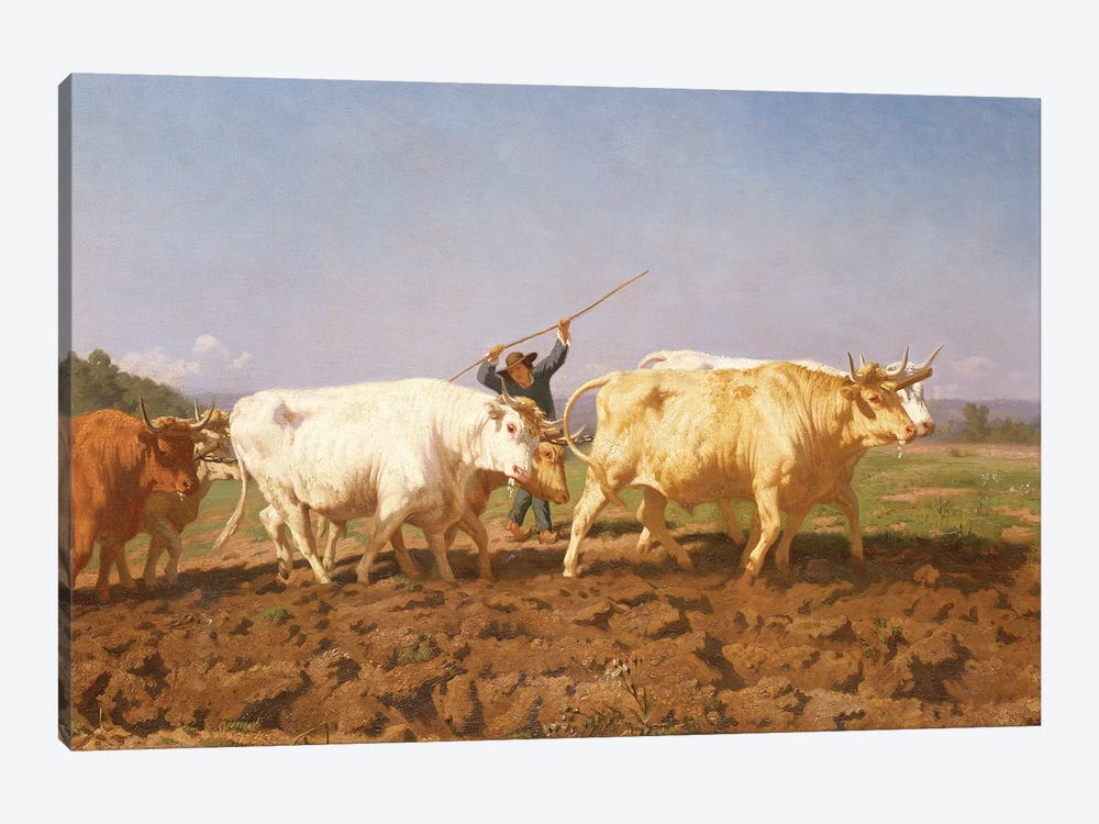 Detail Of Right Half, Ploughing In The Nivernais, 1850 by Rosa Bonheur 1-piece Canvas Wall Art