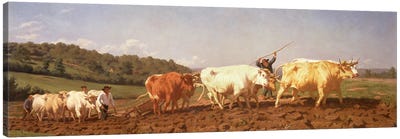 Ploughing In The Nivernais, 1850 (Private Collection) Canvas Art Print - Rosa Bonheur