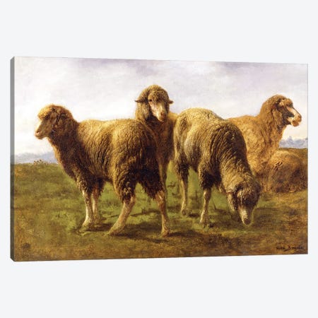 Sheep Grazing In A Meadow Canvas Print #BMN7549} by Rosa Bonheur Canvas Art Print
