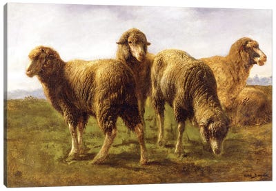 Sheep Grazing In A Meadow Canvas Art Print - Rosa Bonheur