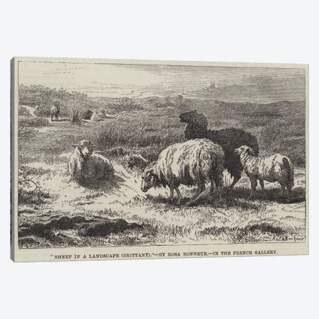Sheep In A Landscape, Brittany (Illustration For The Illustrated London News), 23 April 1859 Canvas Print #BMN7551} by Rosa Bonheur Canvas Wall Art