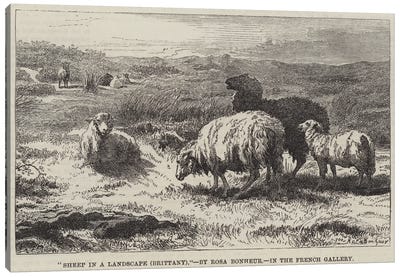 Sheep In A Landscape, Brittany (Illustration For The Illustrated London News), 23 April 1859 Canvas Art Print - Rosa Bonheur