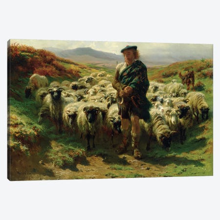 The Highland Shepherd (Oil On Canvas), 1859 Canvas Print #BMN7557} by Rosa Bonheur Art Print