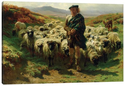 The Highland Shepherd (Oil On Canvas), 1859 Canvas Art Print - Farmer