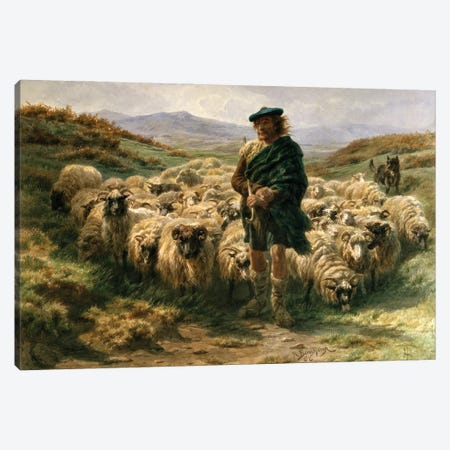 The Highland Shepherd (Watercolour) Canvas Print #BMN7558} by Rosa Bonheur Canvas Artwork